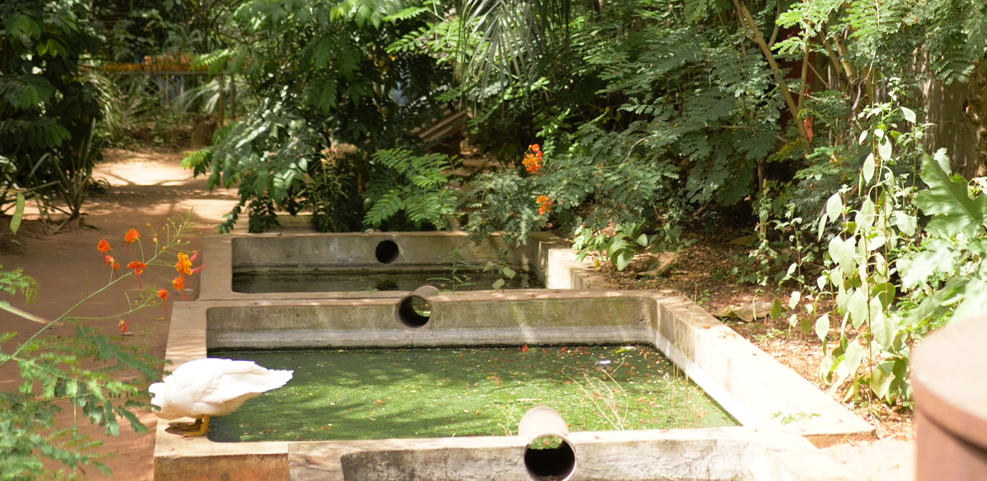 Construction of a 30-tonne biodigester for the energy recovery