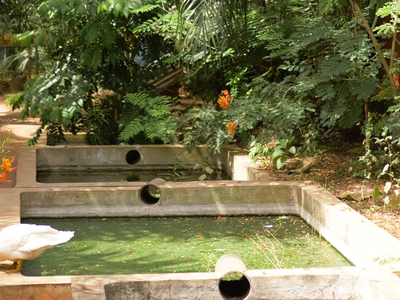 TMSU PULSE ( TMSU PULSE (