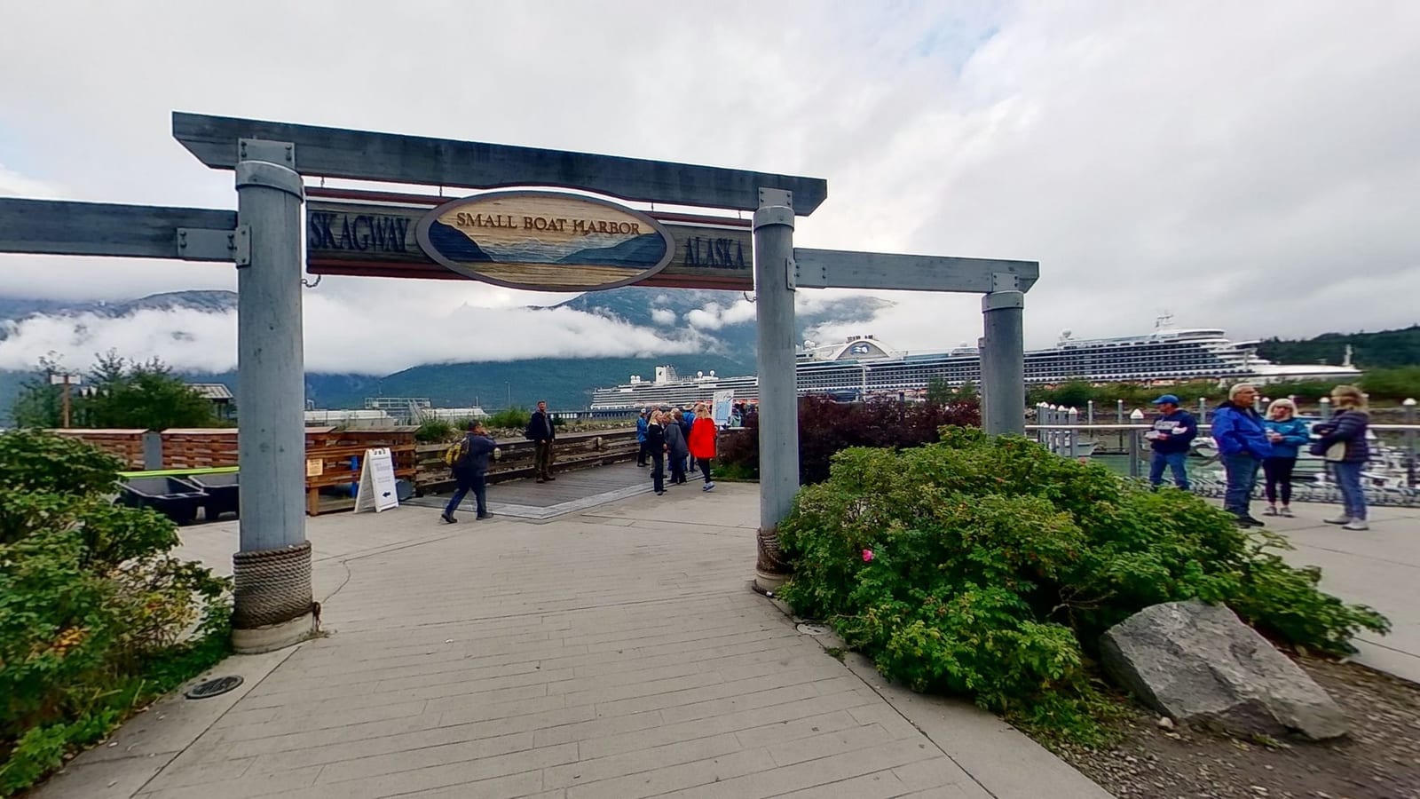 Haines Wildlife Safari and Bear Viewing