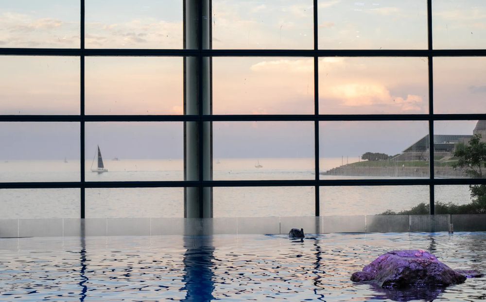 An indoor pool and a gridded window framing water, a sailboat, and the evening horizon