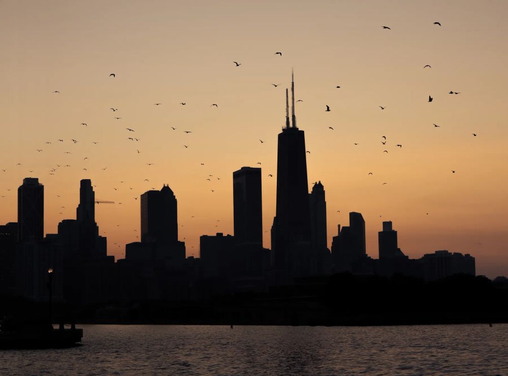 Birds above a silhouetted city skyline at dusk