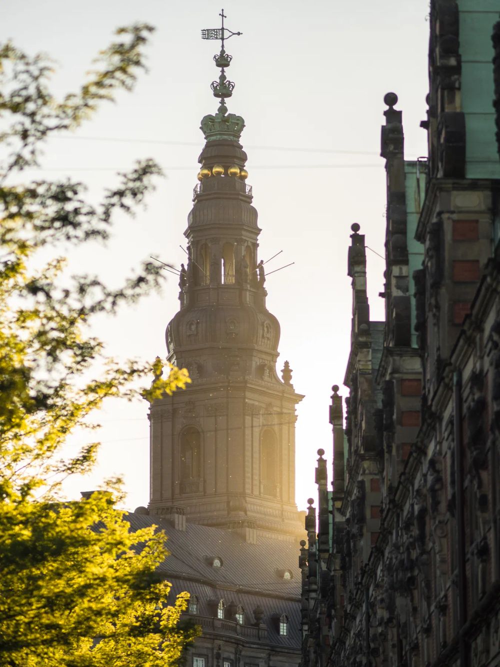 A distant tower framed by a street edge and backlit foliage