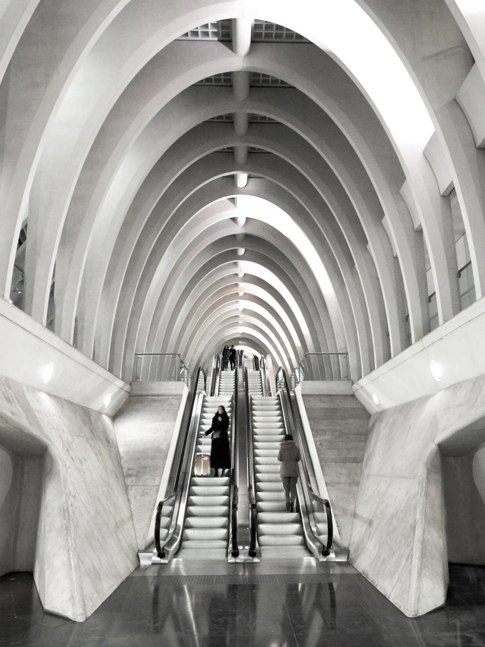 An escalator rising through repeated white structural ribs