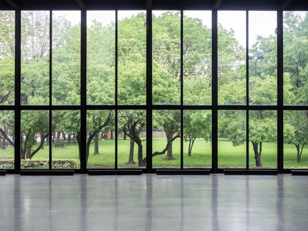 A full-height window grid framing green trees and lawn