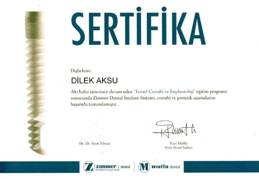 Turkish certificate for a six-week basic surgery and implantology programme