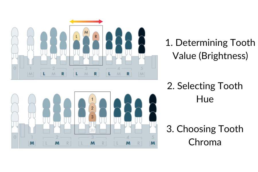Diagram of 3D-Master shade steps: value, hue and chroma