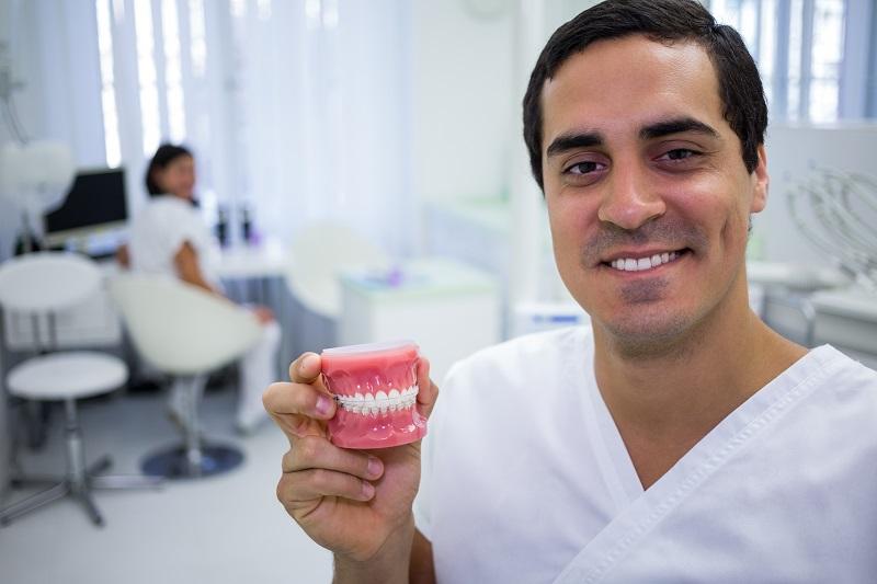Smiling dentist holding a model of teeth in a dental office