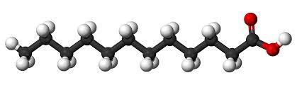 Ball-and-stick model of a lauric acid molecule