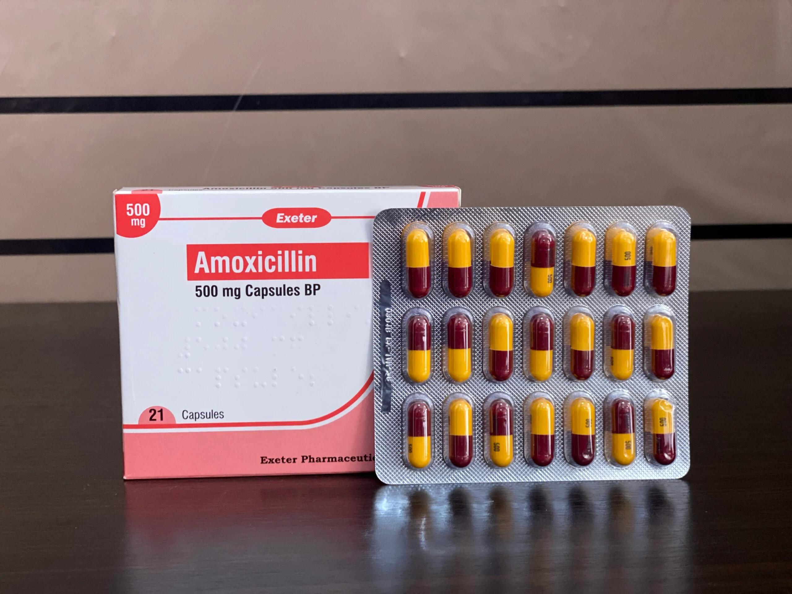 Amoksisilin 500 mg kapsül kutusu ve blister paketi