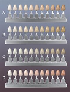 Chart of tooth shade samples in groups A to D