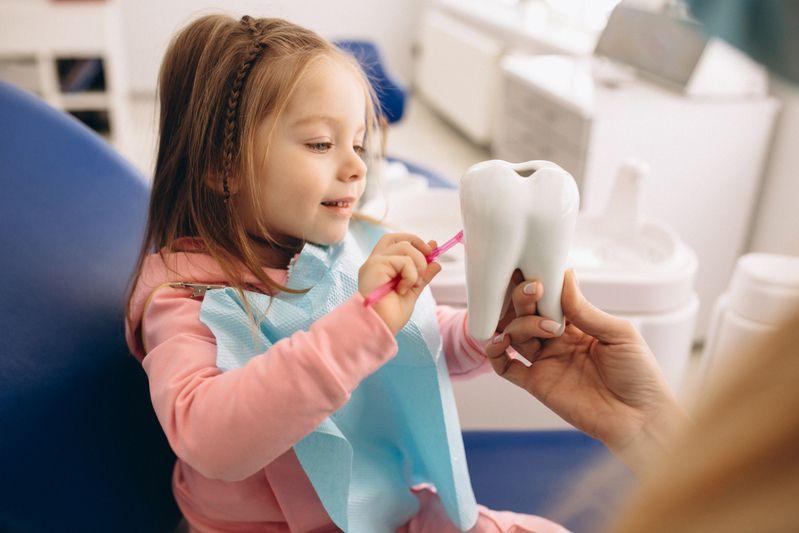 Young girl brushing a large tooth model in a dental office