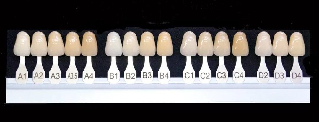 Shade guide teeth labelled A1 to D4
