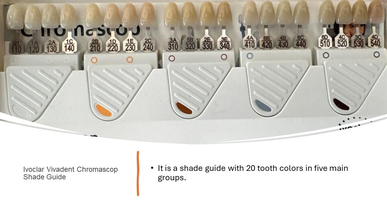 Chromascop shade guide with numbered tooth samples in five groups