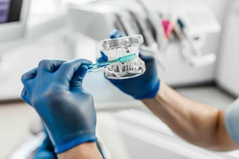 Gloved hands brushing a model of teeth with a toothbrush