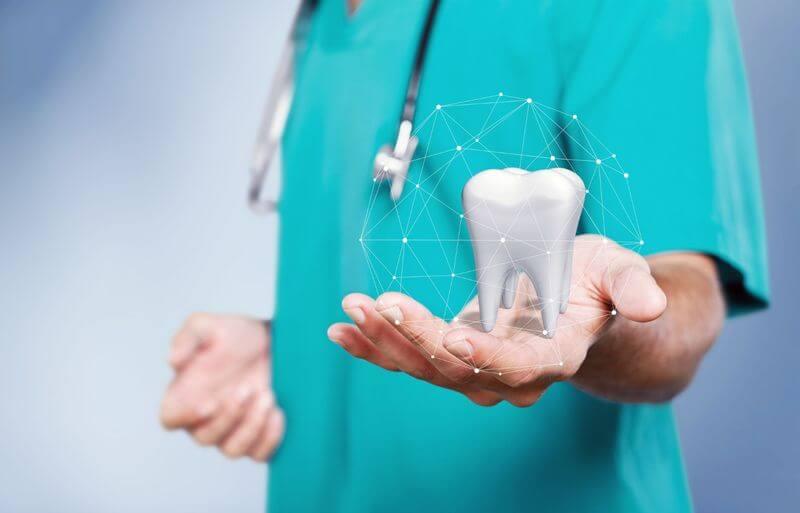 Clinician in scrubs holding a 3D tooth model