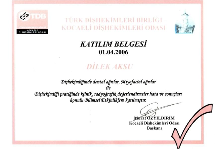 Turkish participation certificate for scientific events on dental pain, 2006