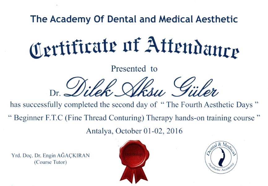 Certificate of attendance for fine thread contouring course, Antalya, 2016