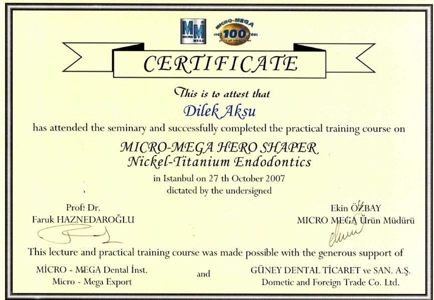 Certificate for a nickel-titanium endodontics practical course, Istanbul, 2007