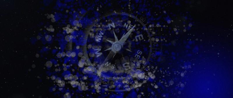 Can I Kick My Robot Dog?