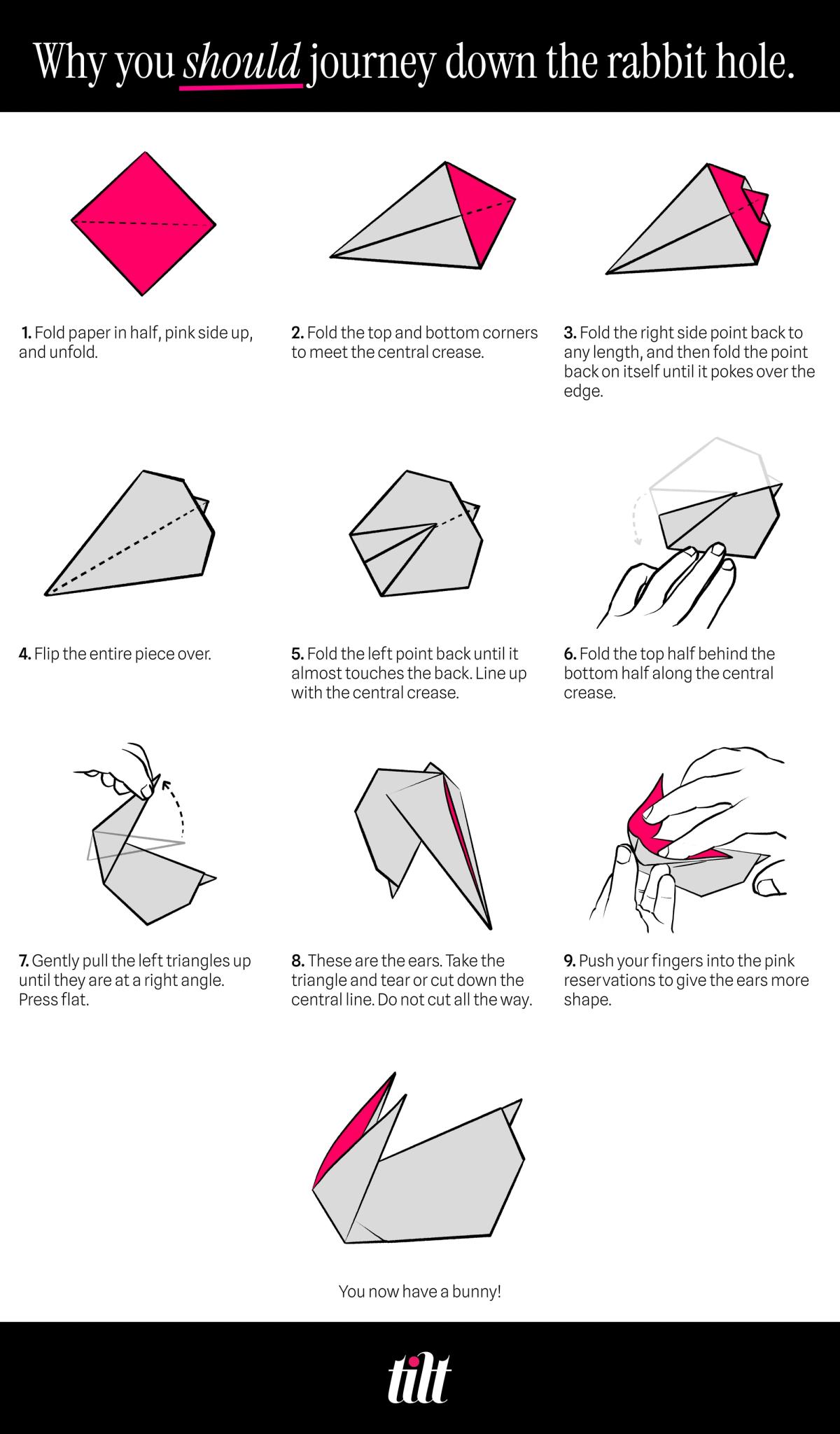 Build your own Rabbit