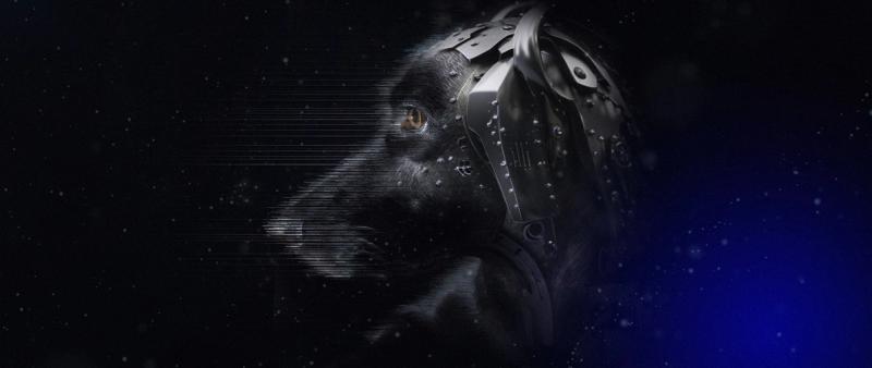 When Do We Stop Being Human?