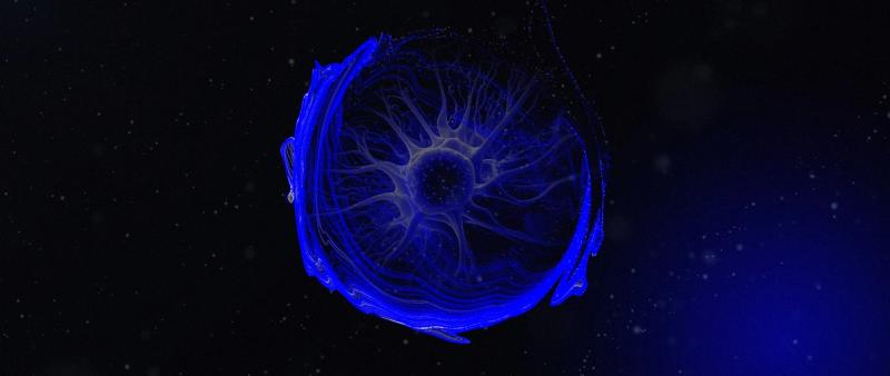 Are We Degenerating?