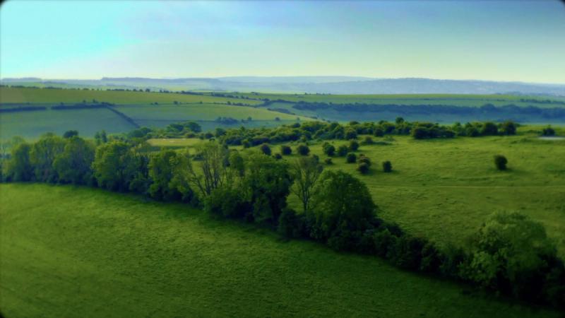 View of the South Downs National Park