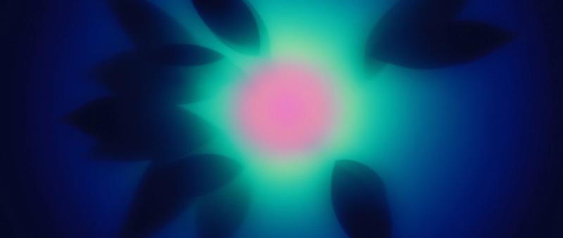 Balancing Innovation &amp; Sustainability: Our AI Carbon Footprint Project