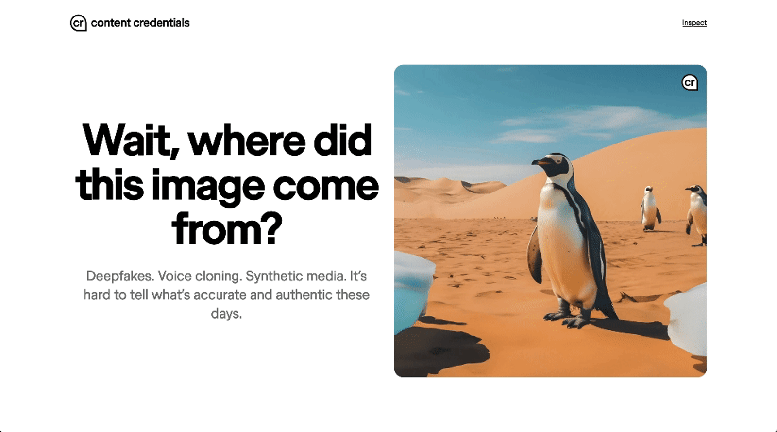 Adobe | Content Credentials