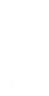 On logo