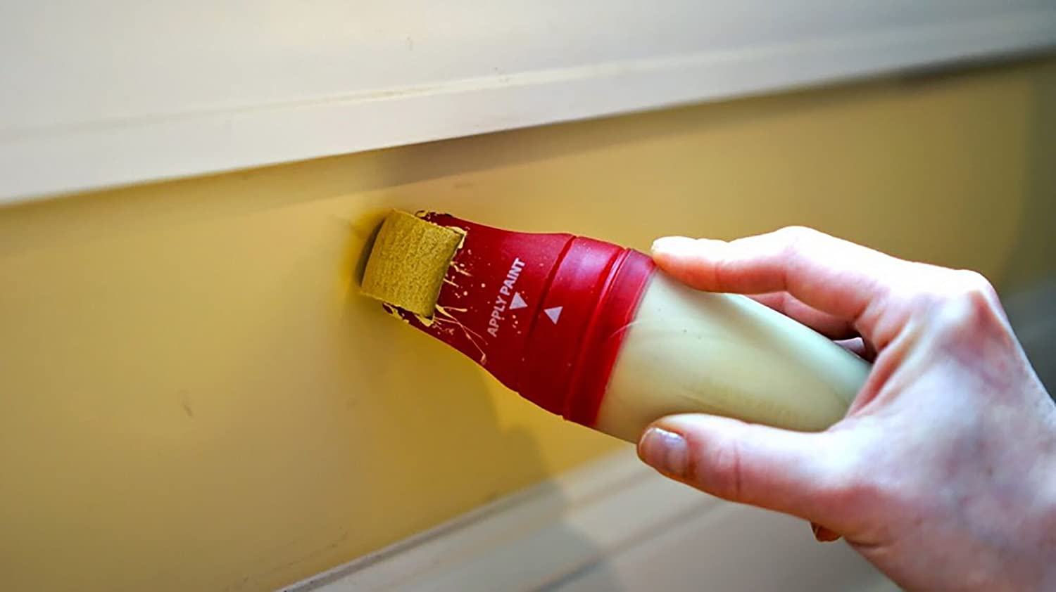 Touch Up Painter, Storage w/Roller