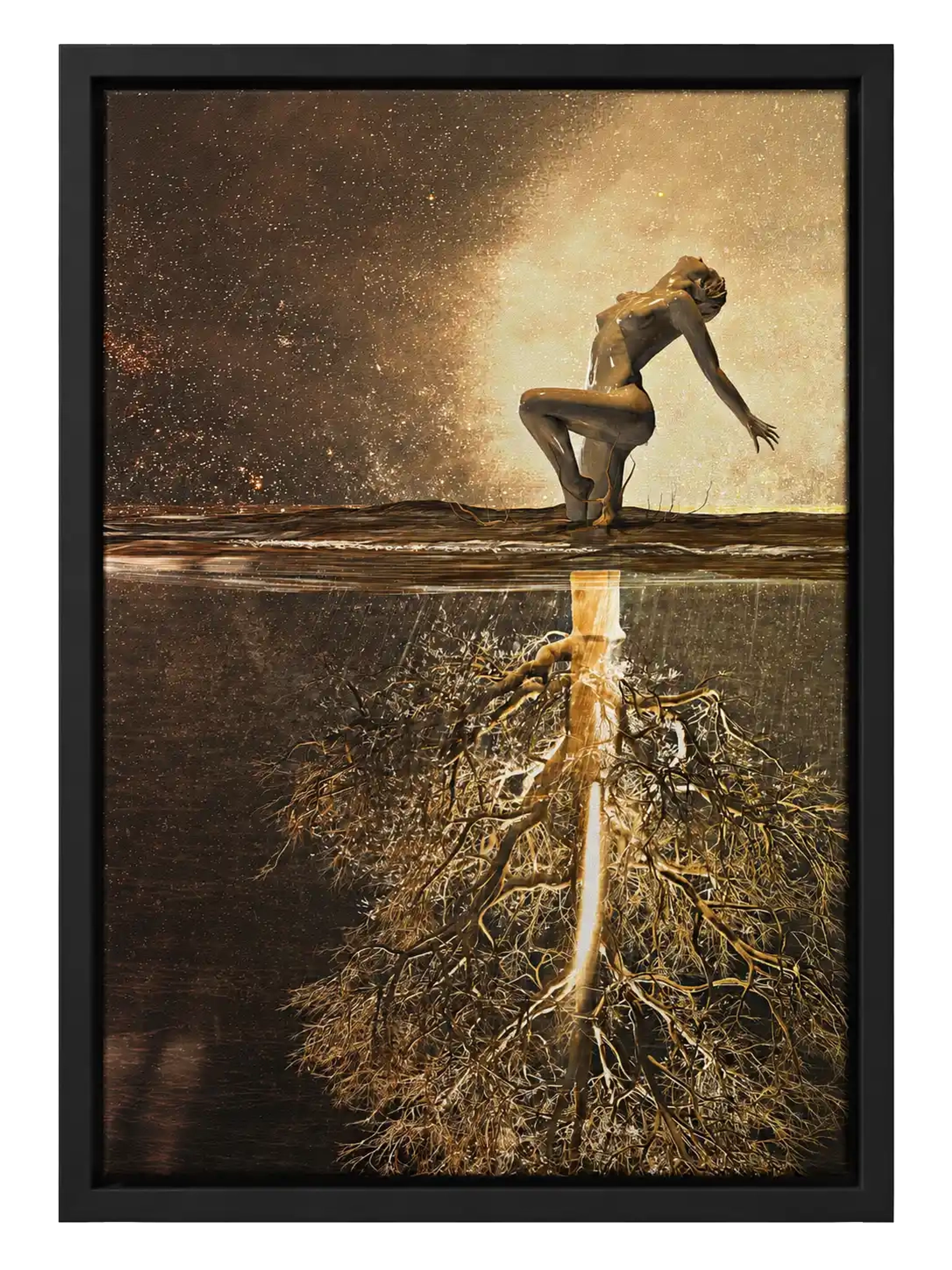 Roots