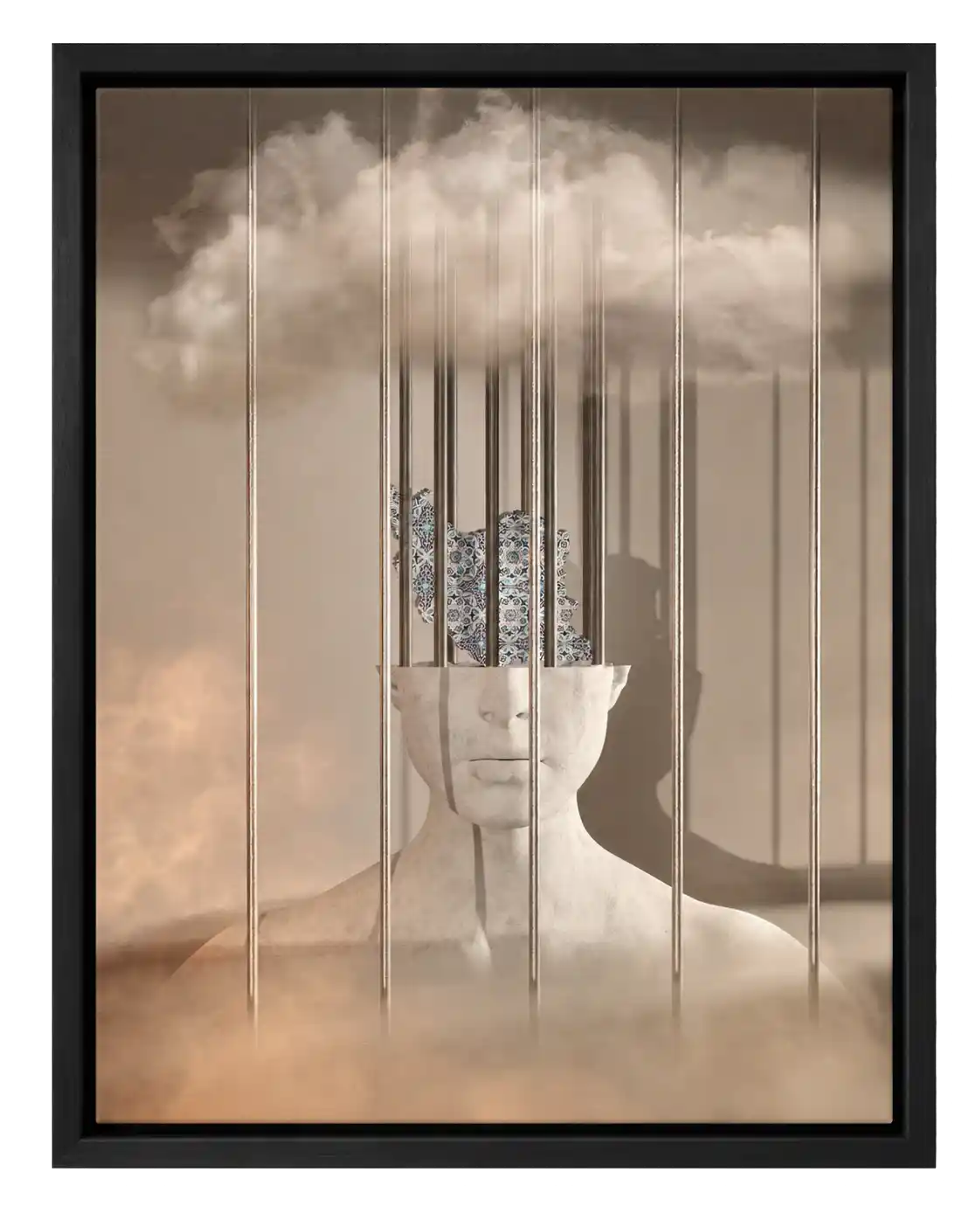 Caged Homeland