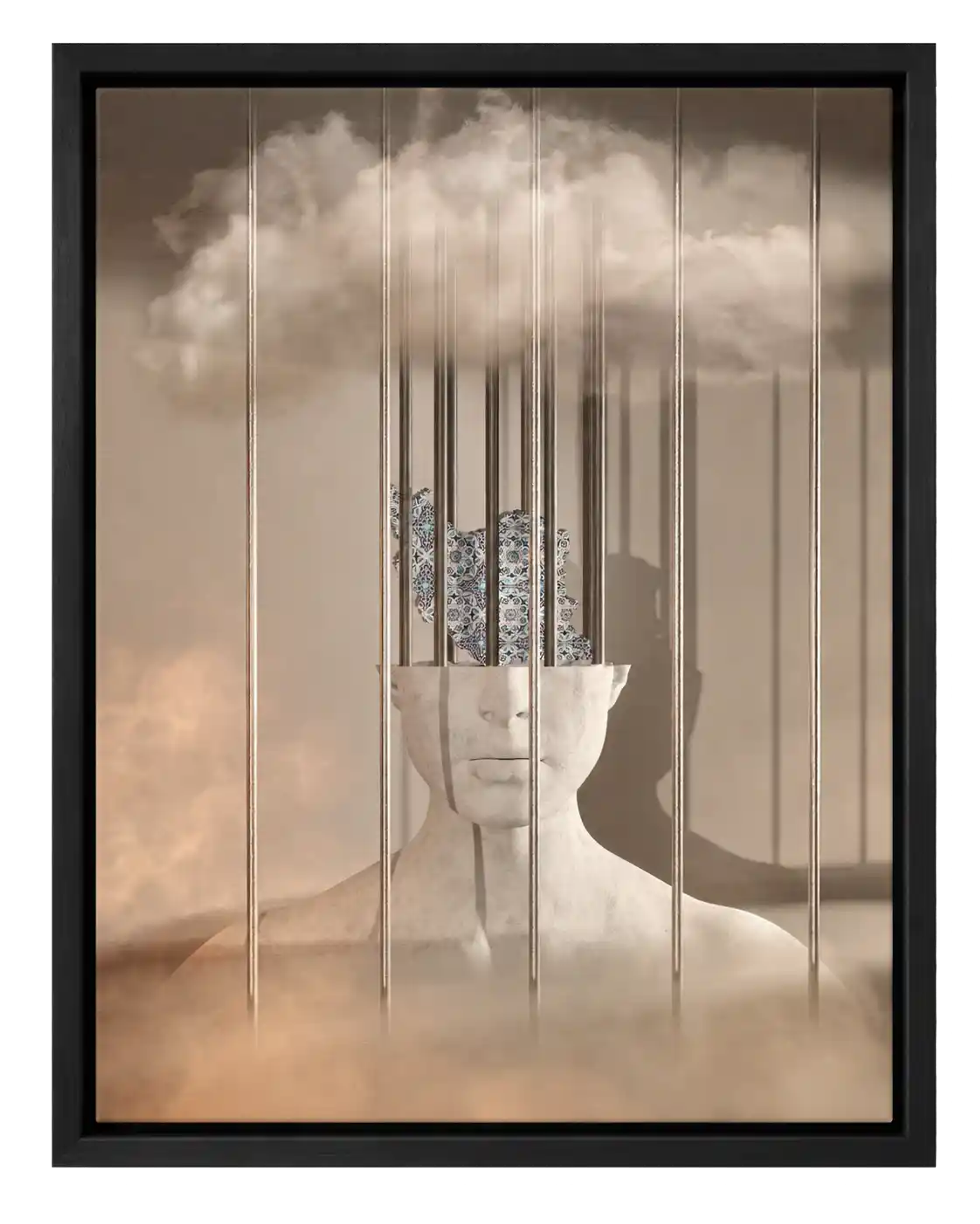 Caged Homeland