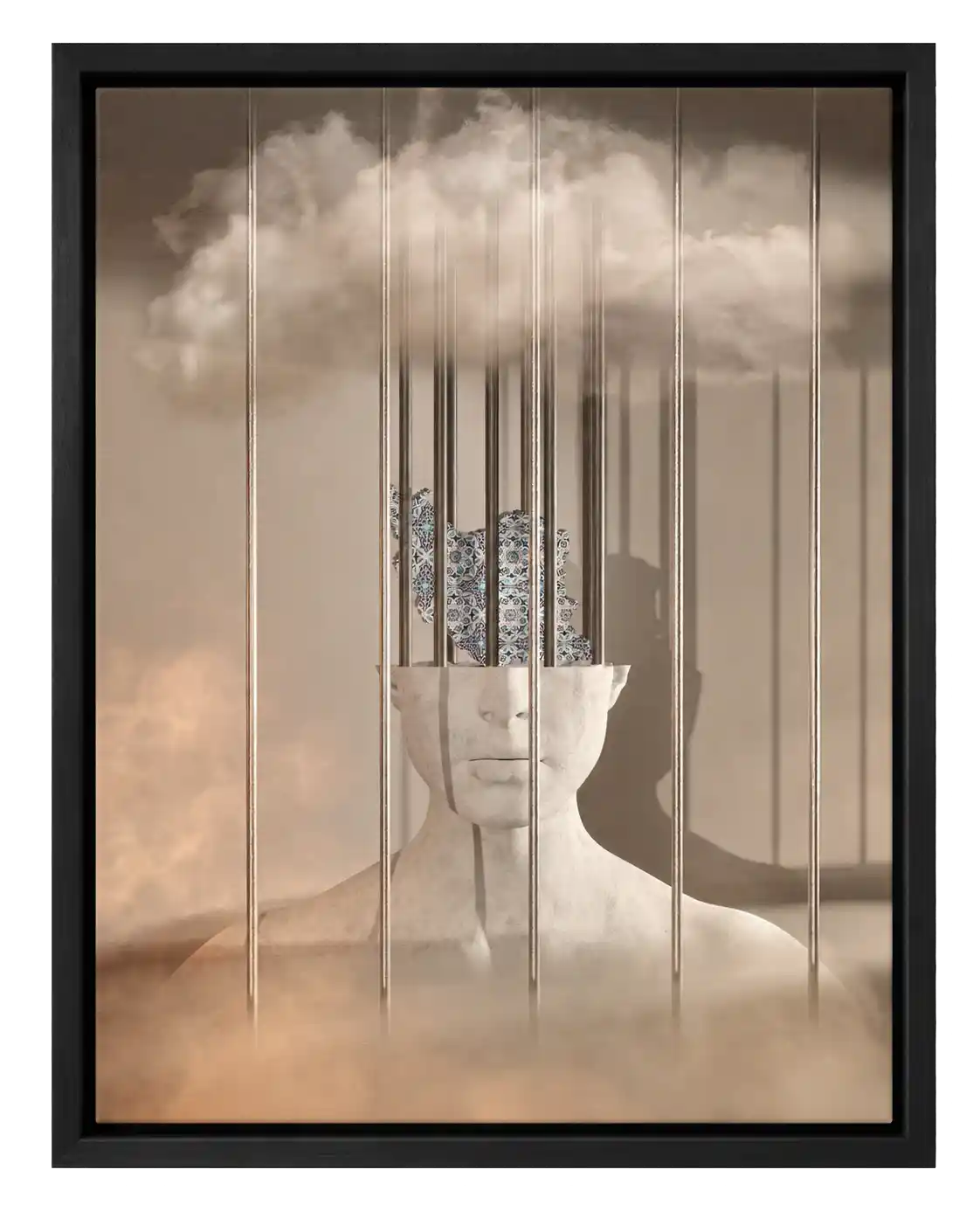 Caged Homeland