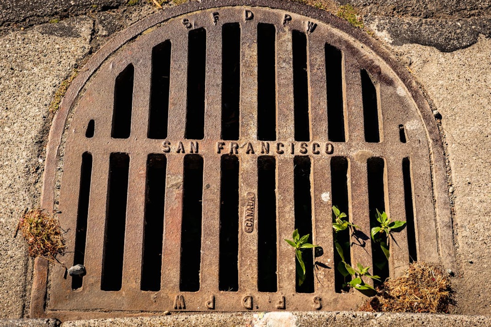 Sewage video inspection – camera head inside a pipe in Tallinn – TorudeAbi24