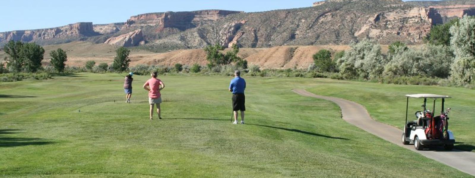 How to Run a Golf League (Once You've Actually Got One)
