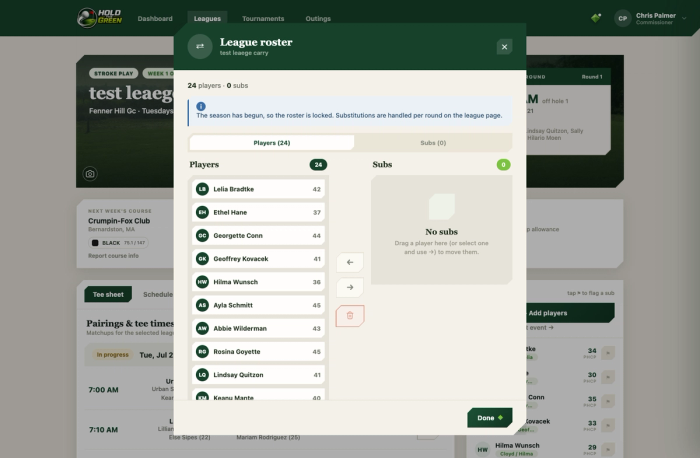 League roster manager showing players and available substitutes