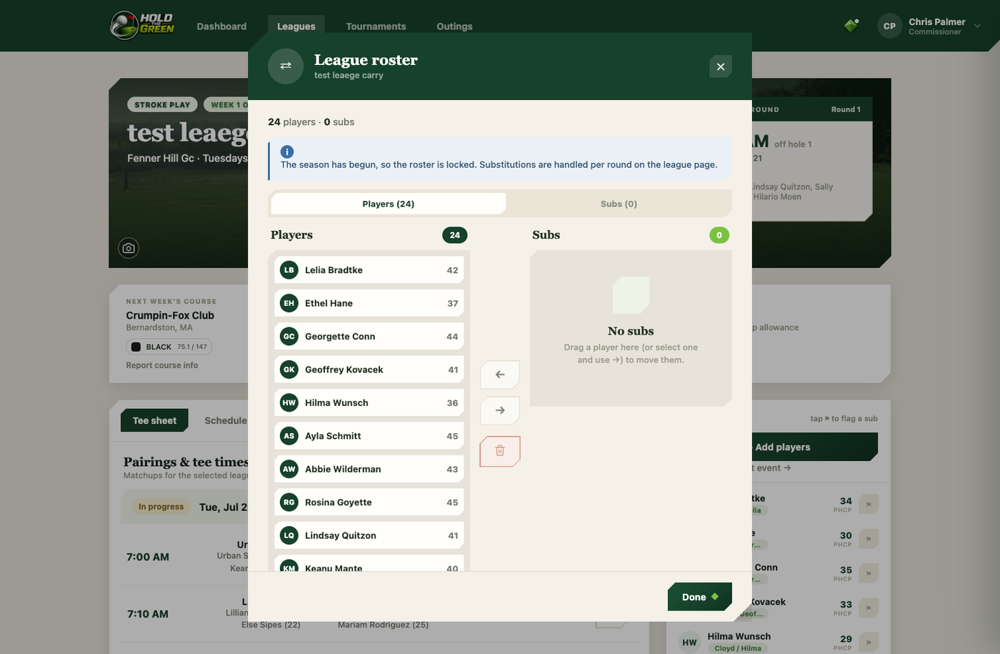 League roster manager showing players and available substitutes