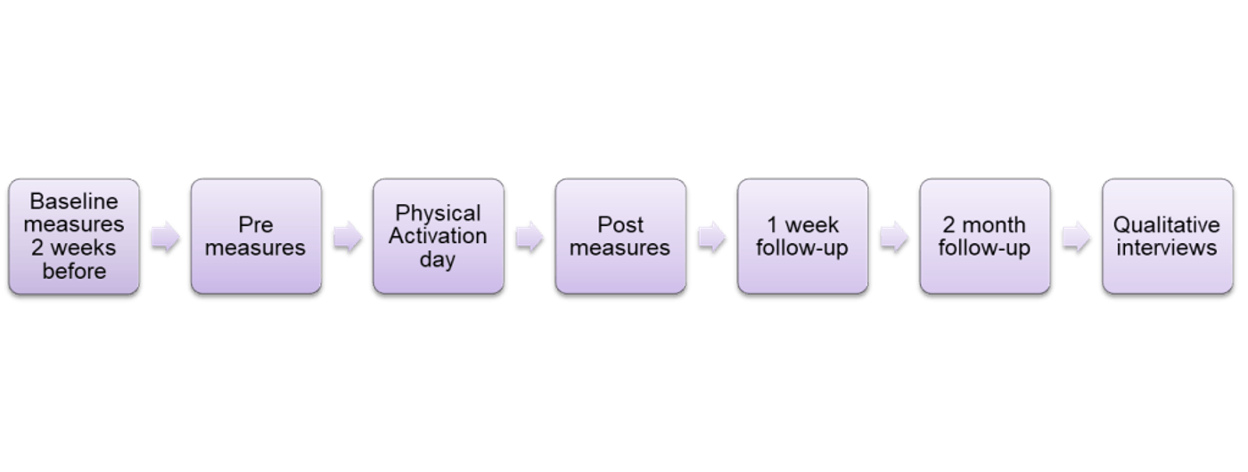 Timeline of the study