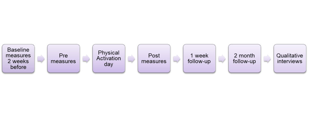 Timeline of the study