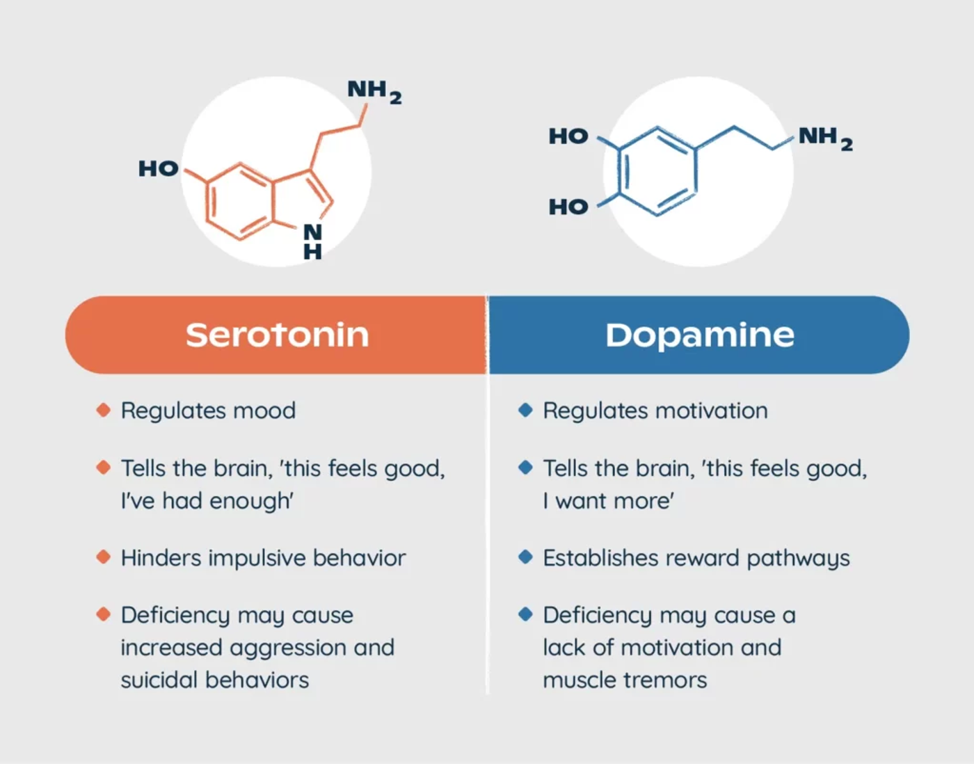 Diagram comparing serotonin and dopamine: their molecules and what each does in the brain