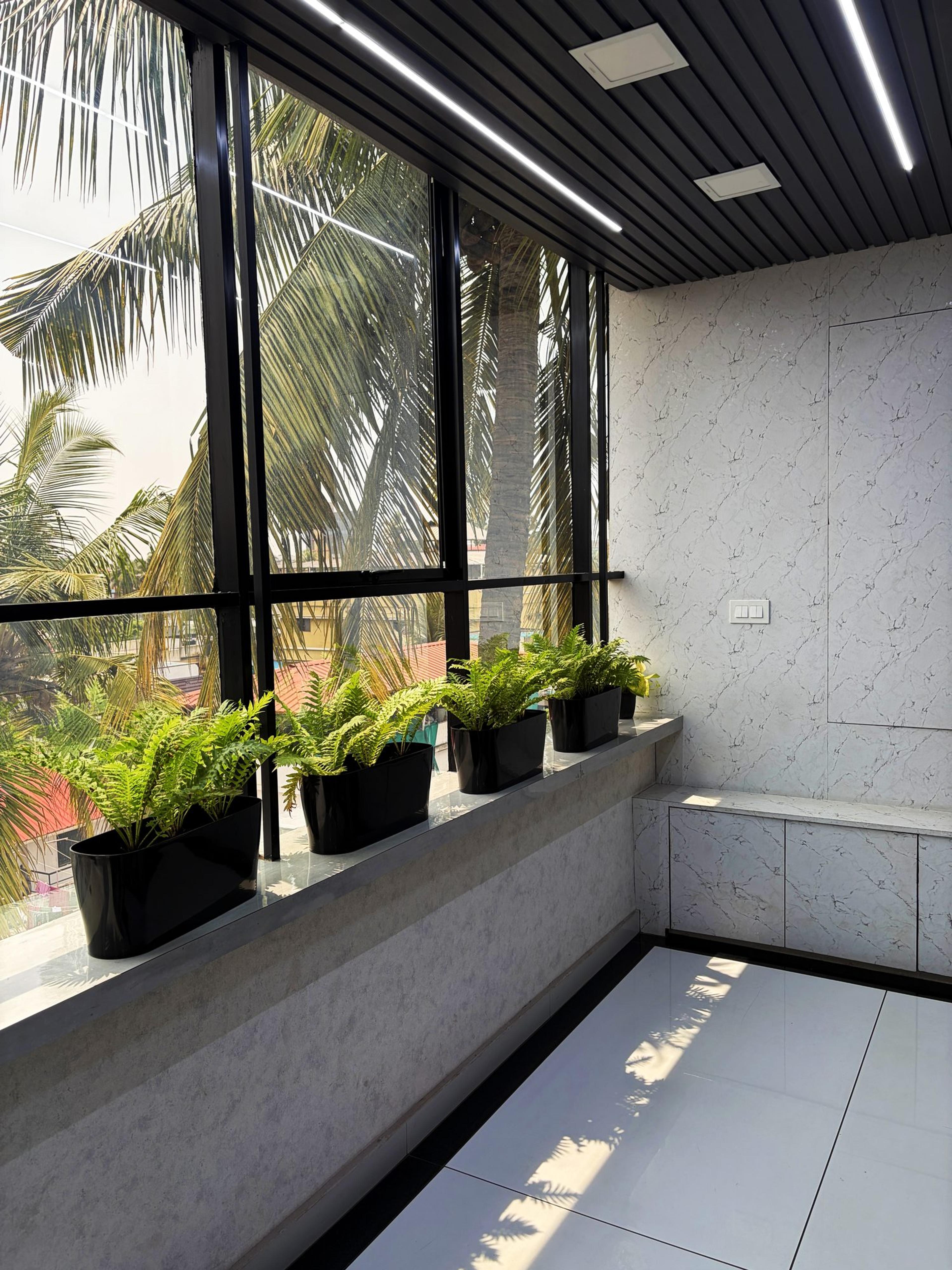 Sunlit corridor with fern planters along the windows, coconut palms outside and marble walls