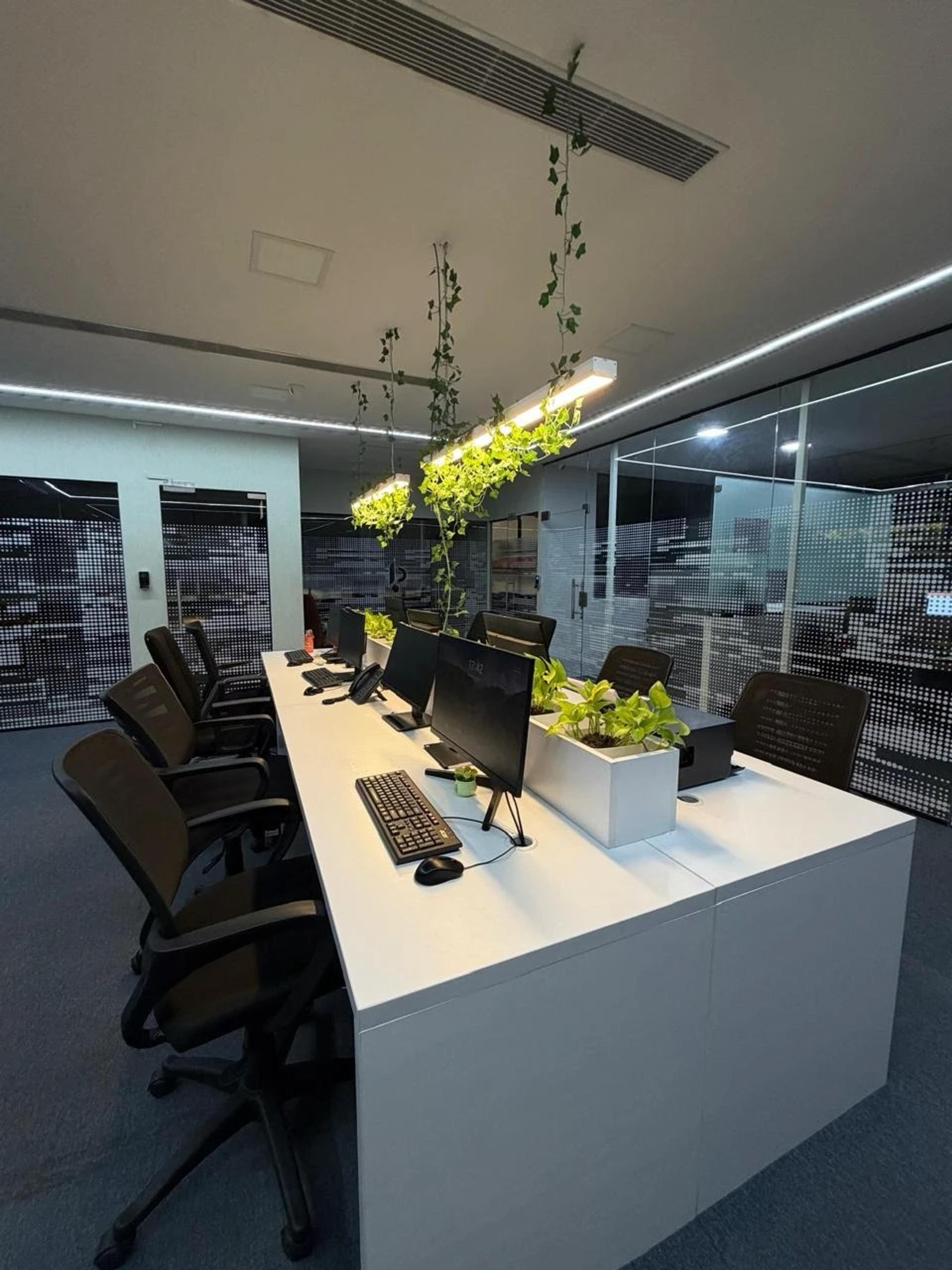 Shared white workstations with monitors and planters under hanging vine lights, with frosted glass cabins behind
