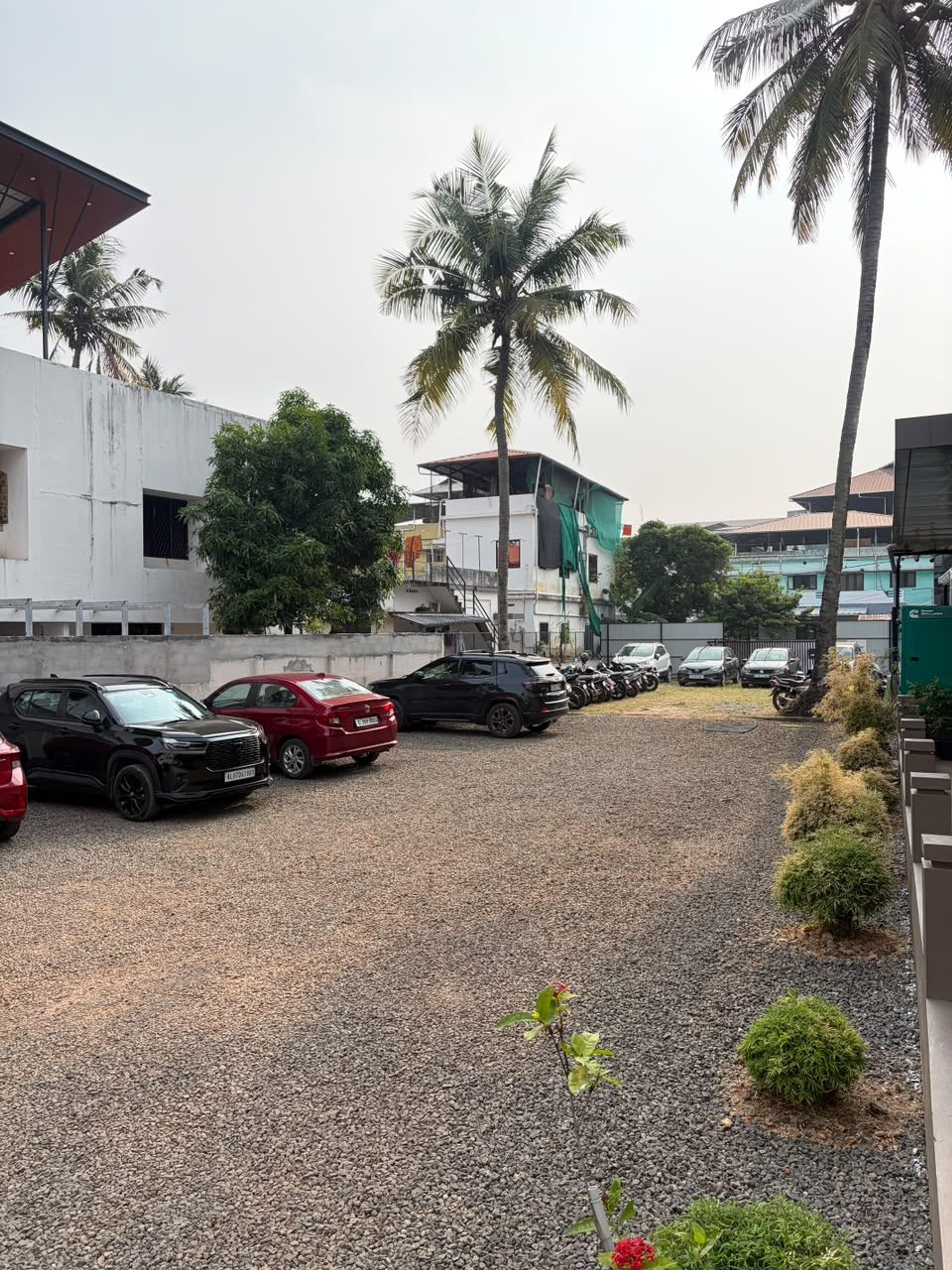 Parking area with cars and a row of bikes under the palms