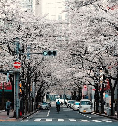 japan-image-5