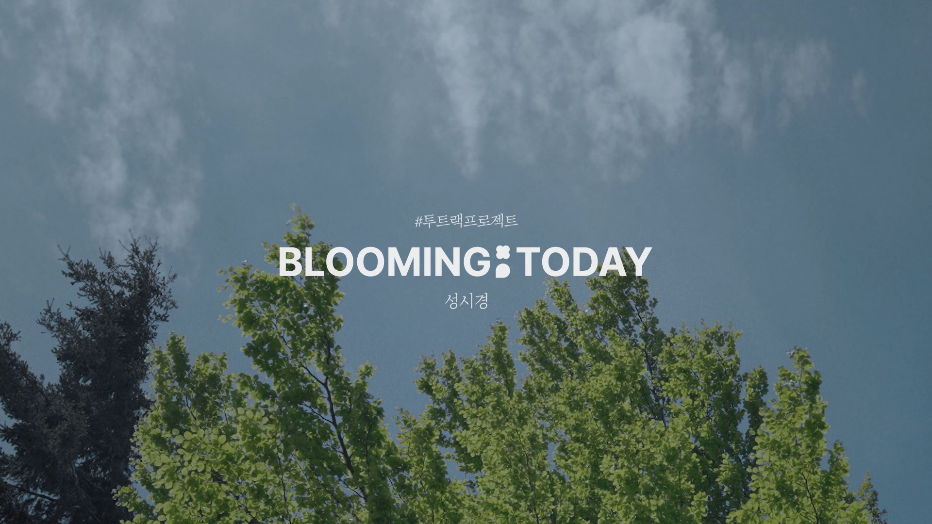 Blooming Today - 성시경 (SUNG SI KYUNG) Official M/V​​​​‌﻿‍﻿​‍​‍‌‍﻿﻿‌﻿​‍‌‍‍‌‌‍‌﻿‌‍‍‌‌‍﻿‍​‍​‍​﻿‍‍​‍​‍‌﻿​﻿‌‍​‌‌‍﻿‍‌‍‍‌‌﻿‌​‌﻿‍‌​‍﻿‍‌‍‍‌‌‍﻿﻿​‍​‍​‍﻿​​‍​‍‌‍‍​‌﻿​‍‌‍‌‌‌‍‌‍​‍​‍​﻿‍‍​‍​‍‌‍‍​‌﻿‌​‌﻿‌​‌﻿​​‌﻿​﻿​﻿‍‍​‍﻿﻿​‍﻿﻿‌‍​﻿‌﻿​‍​‍﻿‍‌﻿​﻿‌‍​‌‌‍﻿‍‌‍‍‌‌﻿‌​‌﻿‍‌​‍﻿‍‌﻿​﻿‌﻿‌​‌﻿‌‌‌‍‌​‌‍‍‌‌‍﻿﻿​‍﻿﻿‌﻿​﻿‌﻿‌​‌﻿‌‌‌‍‌​‌‍‍‌‌‍﻿﻿​‍﻿﻿‌‍‍‌‌‍﻿‍‌﻿‌​‌‍‌‌‌‍﻿‍‌﻿‌​​‍﻿﻿‌‍‌‌‌‍‌​‌‍‍‌‌﻿‌​​‍﻿﻿‌‍﻿‌‌‍﻿﻿‌‍‌​‌‍‌‌​﻿﻿‌‌﻿​​‌﻿​‍‌‍‌‌‌﻿​﻿‌‍‌‌‌‍﻿‍‌﻿‌​‌‍​‌‌﻿‌​‌‍‍‌‌‍﻿﻿‌‍﻿‍​﻿‍﻿‌‍‍‌‌‍‌​​﻿﻿‌‌‍​﻿​﻿‌‌​﻿‍‌​﻿​﻿​﻿​‌​﻿‌‌‌‍‌‍‌‍‌​​‍﻿‌​﻿​﻿‌‍‌‌‌‍​‍​﻿​​​‍﻿‌​﻿‌​​﻿​﻿​﻿​﻿​﻿​﻿​‍﻿‌​﻿‍‌​﻿‌‌‌‍‌‌​﻿‌​​‍﻿‌​﻿‌​​﻿‌‍‌‍​﻿‌‍​‌​﻿‌‌‌‍​‍​﻿‍‌​﻿​﻿​﻿​﻿​﻿​﻿​﻿​﻿​﻿‌​​﻿‍﻿‌﻿‌​‌﻿‍‌‌﻿​​‌‍‌‌​﻿﻿‌‌﻿​​‌﻿​‍‌‍﻿﻿‌‍‍‍‌‍‌‌‌‍​﻿‌﻿‌​​﻿‍﻿‌﻿​​‌‍​‌‌﻿‌​‌‍‍​​﻿﻿‌‌﻿‌​‌‍‍‌‌﻿‌​‌‍﻿​‌‍‌‌​﻿﻿﻿‌‍​‍‌‍​‌‌﻿​﻿‌‍‌‌‌‌‌‌‌﻿​‍‌‍﻿​​﻿﻿‌‌‍‍​‌﻿‌​‌﻿‌​‌﻿​​‌﻿​﻿​‍‌‌​﻿​﻿‌​​‌​‍‌‌​﻿​‍‌​‌‍​‍‌‌​﻿​‍‌​‌‍‌‍​﻿‌﻿​‍​‍﻿‍‌﻿​﻿‌‍​‌‌‍﻿‍‌‍‍‌‌﻿‌​‌﻿‍‌​‍﻿‍‌﻿​﻿‌﻿‌​‌﻿‌‌‌‍‌​‌‍‍‌‌‍﻿﻿​‍‌‌​﻿​‍‌​‌‍‌﻿​﻿‌﻿‌​‌﻿‌‌‌‍‌​‌‍‍‌‌‍﻿﻿​‍‌‍‌‍‍‌‌‍‌​​﻿﻿‌‌‍​﻿​﻿‌‌​﻿‍‌​﻿​﻿​﻿​‌​﻿‌‌‌‍‌‍‌‍‌​​‍﻿‌​﻿​﻿‌‍‌‌‌‍​‍​﻿​​​‍﻿‌​﻿‌​​﻿​﻿​﻿​﻿​﻿​﻿​‍﻿‌​﻿‍‌​﻿‌‌‌‍‌‌​﻿‌​​‍﻿‌​﻿‌​​﻿‌‍‌‍​﻿‌‍​‌​﻿‌‌‌‍​‍​﻿‍‌​﻿​﻿​﻿​﻿​﻿​﻿​﻿​﻿​﻿‌​​‍‌‍‌﻿‌​‌﻿‍‌‌﻿​​‌‍‌‌​﻿﻿‌‌﻿​​‌﻿​‍‌‍﻿﻿‌‍‍‍‌‍‌‌‌‍​﻿‌﻿‌​​‍‌‍‌﻿​​‌‍​‌‌﻿‌​‌‍‍​​﻿﻿‌‌﻿‌​‌‍‍‌‌﻿‌​‌‍﻿​‌‍‌‌​‍‌‍‌﻿​​‌‍‌‌‌﻿​‍‌﻿​﻿‌﻿​​‌‍‌‌‌‍​﻿‌﻿‌​‌‍‍‌‌﻿‌‍‌‍‌‌​﻿﻿‌‌﻿​​‌﻿‌‌‌‍​‍‌‍﻿​‌‍‍‌‌﻿​﻿‌‍‍​‌‍‌‌‌‍‌​​‍​‍‌﻿﻿‌