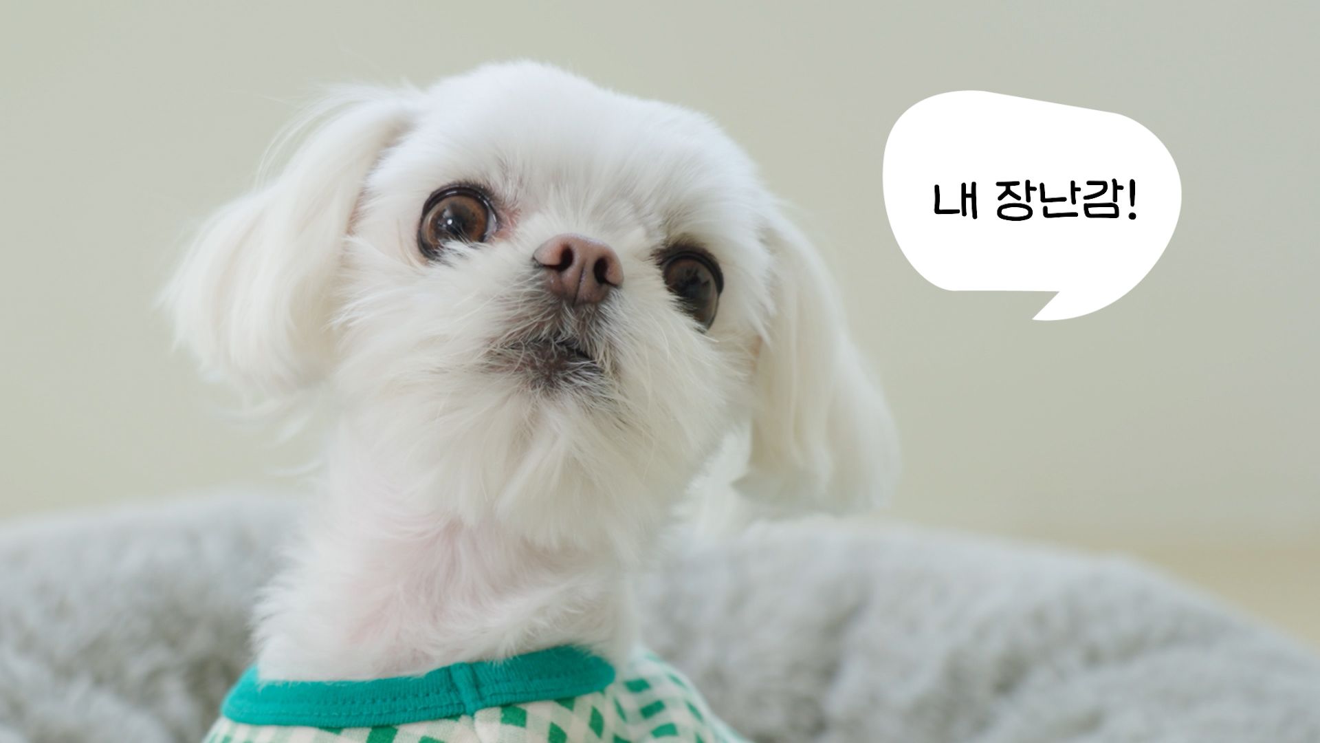 삼성SDS 브리티 코파일럿​​​​‌﻿‍﻿​‍​‍‌‍﻿﻿‌﻿​‍‌‍‍‌‌‍‌﻿‌‍‍‌‌‍﻿‍​‍​‍​﻿‍‍​‍​‍‌﻿​﻿‌‍​‌‌‍﻿‍‌‍‍‌‌﻿‌​‌﻿‍‌​‍﻿‍‌‍‍‌‌‍﻿﻿​‍​‍​‍﻿​​‍​‍‌‍‍​‌﻿​‍‌‍‌‌‌‍‌‍​‍​‍​﻿‍‍​‍​‍‌‍‍​‌﻿‌​‌﻿‌​‌﻿​​‌﻿​﻿​﻿‍‍​‍﻿﻿​‍﻿﻿‌‍​﻿‌﻿​‍​‍﻿‍‌﻿​﻿‌‍​‌‌‍﻿‍‌‍‍‌‌﻿‌​‌﻿‍‌​‍﻿‍‌﻿​﻿‌﻿‌​‌﻿‌‌‌‍‌​‌‍‍‌‌‍﻿﻿​‍﻿﻿‌﻿​﻿‌﻿‌​‌﻿‌‌‌‍‌​‌‍‍‌‌‍﻿﻿​‍﻿﻿‌‍‍‌‌‍﻿‍‌﻿‌​‌‍‌‌‌‍﻿‍‌﻿‌​​‍﻿﻿‌‍‌‌‌‍‌​‌‍‍‌‌﻿‌​​‍﻿﻿‌‍﻿‌‌‍﻿﻿‌‍‌​‌‍‌‌​﻿﻿‌‌﻿​​‌﻿​‍‌‍‌‌‌﻿​﻿‌‍‌‌‌‍﻿‍‌﻿‌​‌‍​‌‌﻿‌​‌‍‍‌‌‍﻿﻿‌‍﻿‍​﻿‍﻿‌‍‍‌‌‍‌​​﻿﻿‌‌‍‌‌​﻿‌‌​﻿‍​‌‍‌‌​﻿‍‌‌‍‌​​﻿‌﻿​﻿​‌​‍﻿‌‌‍​‌​﻿‌​‌‍‌​‌‍‌‍​‍﻿‌​﻿‌​‌‍‌‍​﻿‌​​﻿​​​‍﻿‌​﻿‍​‌‍​‌​﻿‍‌‌‍​‍​‍﻿‌​﻿​​​﻿​​​﻿​‌​﻿‌‍​﻿‌​‌‍‌‍​﻿​‌​﻿​‌​﻿‌﻿​﻿​​​﻿‍‌‌‍‌‍​﻿‍﻿‌﻿‌​‌﻿‍‌‌﻿​​‌‍‌‌​﻿﻿‌‌﻿​​‌﻿​‍‌‍﻿﻿‌‍‍‍‌‍‌‌‌‍​﻿‌﻿‌​​﻿‍﻿‌﻿​​‌‍​‌‌﻿‌​‌‍‍​​﻿﻿‌‌﻿‌​‌‍‍‌‌﻿‌​‌‍﻿​‌‍‌‌​﻿﻿﻿‌‍​‍‌‍​‌‌﻿​﻿‌‍‌‌‌‌‌‌‌﻿​‍‌‍﻿​​﻿﻿‌‌‍‍​‌﻿‌​‌﻿‌​‌﻿​​‌﻿​﻿​‍‌‌​﻿​﻿‌​​‌​‍‌‌​﻿​‍‌​‌‍​‍‌‌​﻿​‍‌​‌‍‌‍​﻿‌﻿​‍​‍﻿‍‌﻿​﻿‌‍​‌‌‍﻿‍‌‍‍‌‌﻿‌​‌﻿‍‌​‍﻿‍‌﻿​﻿‌﻿‌​‌﻿‌‌‌‍‌​‌‍‍‌‌‍﻿﻿​‍‌‌​﻿​‍‌​‌‍‌﻿​﻿‌﻿‌​‌﻿‌‌‌‍‌​‌‍‍‌‌‍﻿﻿​‍‌‍‌‍‍‌‌‍‌​​﻿﻿‌‌‍‌‌​﻿‌‌​﻿‍​‌‍‌‌​﻿‍‌‌‍‌​​﻿‌﻿​﻿​‌​‍﻿‌‌‍​‌​﻿‌​‌‍‌​‌‍‌‍​‍﻿‌​﻿‌​‌‍‌‍​﻿‌​​﻿​​​‍﻿‌​﻿‍​‌‍​‌​﻿‍‌‌‍​‍​‍﻿‌​﻿​​​﻿​​​﻿​‌​﻿‌‍​﻿‌​‌‍‌‍​﻿​‌​﻿​‌​﻿‌﻿​﻿​​​﻿‍‌‌‍‌‍​‍‌‍‌﻿‌​‌﻿‍‌‌﻿​​‌‍‌‌​﻿﻿‌‌﻿​​‌﻿​‍‌‍﻿﻿‌‍‍‍‌‍‌‌‌‍​﻿‌﻿‌​​‍‌‍‌﻿​​‌‍​‌‌﻿‌​‌‍‍​​﻿﻿‌‌﻿‌​‌‍‍‌‌﻿‌​‌‍﻿​‌‍‌‌​‍‌‍‌﻿​​‌‍‌‌‌﻿​‍‌﻿​﻿‌﻿​​‌‍‌‌‌‍​﻿‌﻿‌​‌‍‍‌‌﻿‌‍‌‍‌‌​﻿﻿‌‌﻿​​‌﻿‌‌‌‍​‍‌‍﻿​‌‍‍‌‌﻿​﻿‌‍‍​‌‍‌‌‌‍‌​​‍​‍‌﻿﻿‌