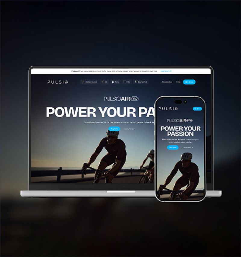 Pulsio project main image