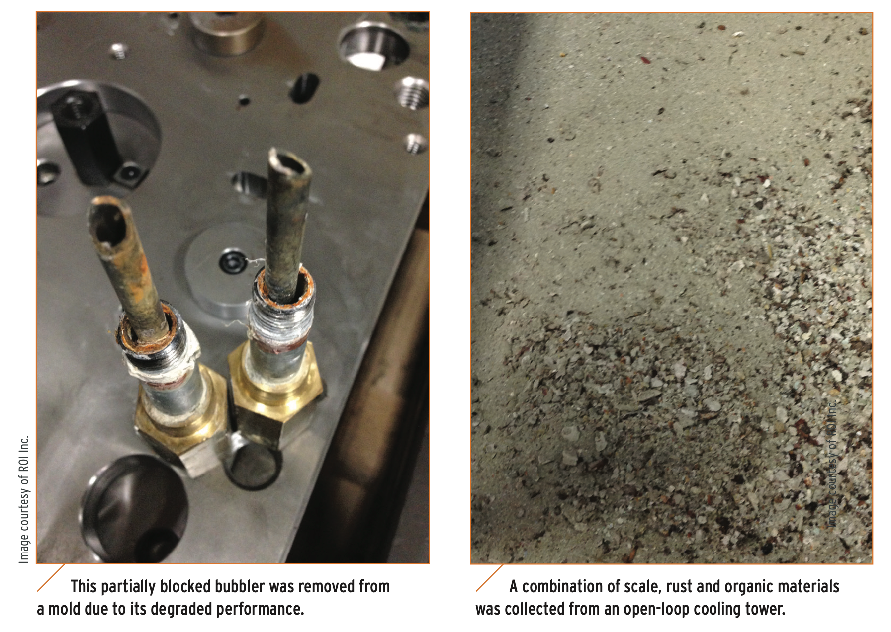Examples of environmental effects